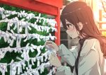 1girl black_shirt blurry blurry_background blush brown_hair building bush highres holding holding_paper jacket kei_(0497) long_hair long_sleeves new_year orange_eyes original paper parted_lips plant shirt shrine solo standing white_jacket 