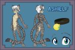  3:2 andromorph anthro ashielf bell black-kitten blue_eyes border butt colar domestic_cat felid feline felis fur genitals green_eyes grey_body grey_fur hair hi_res intersex male mammal model_sheet multicolored_eyes nude purple_border pussy runes solo striped_body striped_fur stripes tabbycat tan_body tan_fur white_hair young 