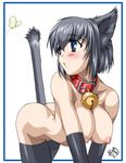  all_fours animal_ears artist_request bad_anatomy bell bell_collar black_gloves blue_eyes blush breasts bug butterfly cat_ears collar copyright_request elbow_gloves gloves grey_hair hanging_breasts insect large_breasts nipples short_hair solo tail thighhighs 