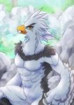  abs anthro avian bathing bird breath_of_the_wild feathers featureless_crotch hi_res male muscular muscular_anthro muscular_male nintendo pecs popemadara rito solo teba_(tloz) the_legend_of_zelda video_games white_body white_feathers 
