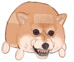  angry animal brown_eyes dog molcar no_humans pui_pui_molcar shiba_inu shinjiro simple_background solo teeth wheel white_background 