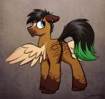  2021 absurd_res anus balls butt dipstick_tail equid equine fan_character feral genitals hasbro hi_res male mammal multicolored_tail my_little_pony pegasus selenophile signature smile solo wings 