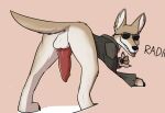  animal_genitalia animal_penis backsack balls canid canine canine_penis canis coyote edit erection feral genitals hi_res keadonger knot male mammal penis rear_view scp-2547 scp_foundation solo 