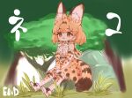  absurdres animal_ear_fluff animal_ears belt black_belt bow bowtie brown_eyes elbow_gloves gloves hair_behind_ear hands_together highres huge_filesize kemono_friends notora rock serval_(kemono_friends) serval_ears serval_print serval_tail shirt_tucked_in short_hair sitting tail thighhighs tree 