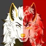  1:1 anthro blood blood_on_face bodily_fluids canid canine canis digital_media_(artwork) fur goldomond hair hi_res looking_at_viewer male mammal markings open_mouth simple_background smile teeth tigerinspace wolf 