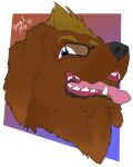  4:5 absurd_res alpha_channel ambiguous_gender anthro bengal_boy black_eyewear black_glasses blue_eyes brown_body brown_fur canid canine canis devin_d_parlett dewlap_(anatomy) digital_media_(artwork) domestic_dog eyebrows eyewear fur glasses grey_lips grey_nose hi_res icon jowls lips mammal molosser mountain_dog neck_tuft newfoundland_dog open_mouth pink_tongue simple_background solo teeth tongue tuft 