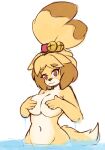  animal_crossing anthro big_breasts boxphox breasts brown_eyes canid canine canis covering covering_breasts domestic_dog female fur hair hand_on_breast isabelle_(animal_crossing) looking_at_viewer mammal nintendo nude partially_submerged shih_tzu simple_background smile solo standing thick_thighs toy_dog video_games water wet white_background wide_hips yellow_body yellow_fur 