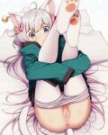  animal_ears blush cat_ears eromanga_sensei eventh7 grey_hair izumi_sagiri long_hair looking_at_viewer lying pussy solo tail thighhighs 