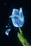  absurdres artist_name black_background blue_flower cocon_(cocon_q) commentary_request flower glint highres light_particles no_humans original shattering signature simple_background still_life tulip twitter_username water_drop 
