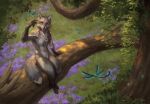  2019 anthro arthropod biped branch canid canine claws detailed_background digital_media_(artwork) dragonfly flower fox fur grass grey_body grey_eyes grey_fur humanoid_hands insect jewelry looking_at_viewer male mammal necklace nude on_branch outside paws plant sitting solo tree white_body white_fur wings zilven 