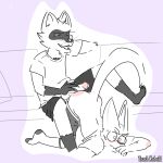  1:1 anthro ass_up blush clothed clothing duo footwear humanoid_genitalia kobold male male/male mammal procyonid raccoon scalie scar shilensis simple_background socks teasing 