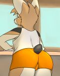  big_butt bottomwear bulge butt canid canine canis cleaning clothed clothing domestic_dog furniture herding_dog hi_res hooters housepets! king_(housepets!) male mammal pastoral_dog shorts solo table trashbadger webcomic welsh_corgi 
