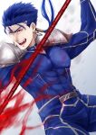 1boy abs armor beads blue_hair bodysuit bulge cu_chulainn_(fate)_(all) earrings fang fate/stay_night fate_(series) fighting_stance floating_hair gae_bolg hair_beads hair_ornament holding holding_polearm holding_weapon jewelry lancer long_hair looking_to_the_side male_focus muscular open_mouth pauldrons pectorals polearm ponytail red_eyes shoulder_armor simple_background skin_tight solo spiked_hair type-moon weapon yanaki_(ynyaan_3) 