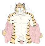  2012 anthro balls barazoku bodily_fluids clothed clothing felid flaccid fur genitals humanoid_hands kedama kemono male mammal muscular muscular_anthro muscular_male open_clothing open_shirt open_topwear pantherine penis pubes shirt simple_background solo sweat tiger topwear white_background 