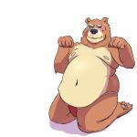  2021 anthro belly brown_body brown_fur clothing fur hi_res male mammal moobs navel nipples overweight overweight_anthro overweight_male sato_afroleone simple_background solo underwear ursid white_background 