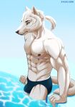  2021 abs absurd_res anthro biceps black_nipples bulge canid canine canis clothed clothing fur green_eyes hi_res male mammal muscular muscular_anthro muscular_male nipples partially_submerged shiuk solo swimwear text topless url water wet wet_body wolf 