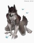  2020 absurd_res anthro canid canine canis digital_media_(artwork) hi_res kneeling male mammal rakan scar simargl simple_background solo were werecanid werecanine werewolf white_background wolf 