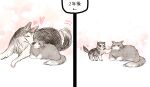  age_progression animal animal_focus cat closed_eyes commentary dog fuyuri_(tibirobo) no_humans original puppy simple_background size_difference timeskip translated yellow_eyes 