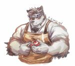  1boy alternate_costume animal_ears apron bara blush casual chest_hair cropped_torso furry grey_fur grey_hair headband highres horkeu_kamui_(tokyo_houkago_summoners) ina_zuma male_focus muscular muscular_male pectorals peeling short_hair silver_hair sketch smile solo tokyo_houkago_summoners two-tone_fur white_background white_fur wolf_boy wolf_ears yellow_apron yellow_eyes 