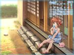  calendar card_captor_sakura kinomoto_sakura moonknives wallpaper 