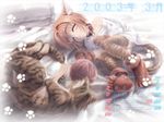  calendar card_captor_sakura kinomoto_sakura moonknives wallpaper 