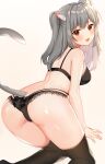  1girl animal_ears ass bare_arms bare_shoulders black_bra black_legwear black_panties bra breasts cat_ears cat_girl cat_tail grey_hair highres katsushika_pachi lace-trimmed_bra lace-trimmed_panties lace_trim long_hair looking_at_viewer looking_back medium_breasts open_mouth original panties red_eyes simple_background smile solo tail tail_raised thighhighs thighs two_side_up underwear underwear_only white_background 