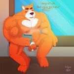  1:1 2021 absurd_res anthro balls belly beverage blush canid canine canis coffee domestic_dog edgaa english_text fur genitals hi_res humanoid_hands male mammal musclegut navel orange_body orange_fur overweight overweight_anthro overweight_male penis pubes rorik_(the_human_heart) sitting solo text the_human_heart_(game) 