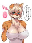  2020 anthro black_nose blonde_hair blue_eyes blush breasts bust_portrait canid canine canis cheek_tuft chest_tuft choker cleavage clothed clothing countershading dialogue domestic_dog dress facial_tuft female floppy_ears front_view hair hair_between_eyes hi_res japanese_text jewelry kemono kurosuke0755 looking_at_viewer mammal necklace nipple_outline portrait shiba_inu short_hair simple_background solo speech_bubble spitz teeth text tuft white_background 
