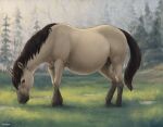 2021 belly big_belly brown_hair detailed_background difetra equid equine female feral fur grass hair head_down hi_res horse mammal nature outside plant pregnant smile solo tan_body teats tree 