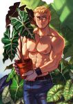  1boy abs bara blonde_hair blush bulge denim facial_hair goatee highres holding holding_pot jeans looking_to_the_side male_focus mocucumo muscular muscular_male navel nipples original pants pectorals plant pot potted_plant scar scar_on_face scar_on_nose shirtless short_hair smile solo 