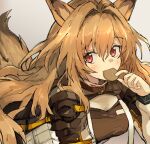  1girl animal_ears arknights bangs blush breasts ceobe_(arknights) commentary_request cookie dog_ears dog_tail eating exion_(neon) eyebrows_visible_through_hair food grey_background hair_between_eyes highres holding holding_cookie holding_food infection_monitor_(arknights) jacket long_hair long_sleeves looking_at_viewer red_eyes simple_background smile solo tail upper_body 