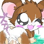  hamtaro snoozer tagme 