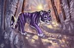 2021 4_toes black_stripes day detailed_background digital_media_(artwork) feet felid flashw forest fur mammal outside pantherine paws plant purple_body purple_eyes purple_fur snow striped_body striped_fur stripes tiger toes tree whiskers 