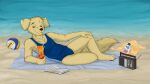  anthro ball beach beverage bird_dog book canid canine canis clothing domestic_dog golden_retriever hunting_dog mammal radio retriever seaside solo soryane sunscreen swimwear volleyball_(ball) 