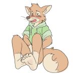  5_toes anthro blueballs blush bottomless brown_eyes canid canine clothed clothing covering covering_self cute_fangs dipstick_tail embarrassed feet fox fur green_clothing green_topwear leg_markings male mammal markings multicolored_tail open_mouth orange_body orange_fur simple_background socks_(marking) soles solo toes topwear whiskers white_background 