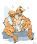  anthro athletic athletic_male bird_dog blonde_hair brown_eyes bulge canid canine canis college_student domestic_dog fur golden_retriever hair hunting_dog kamina1978 kevin_(wsad) male male/male mammal muscle_tone muscular muscular_male nipples orange_body orange_fur pinup pose retriever solo 