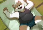  2021 absurd_res anthro bed belly bodily_fluids brown_body brown_fur canid canine canis clothing detailed_background domestic_dog drooling eyes_closed fur furniture hi_res inside kemono lying male mammal overweight overweight_anthro overweight_male saliva shirt sleeping solo takichizento topwear underwear white_body white_fur 