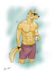  abs absurd_res anthro art22dingo bojack_horseman canid canine canis clothed clothing domestic_dog eyewear hi_res male mammal mr._peanutbutter netflix solo sunglasses topless 
