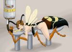 addiction anthro arthropod arthropod_abdomen bee exoskeleton female feral honey_(disambiguation) hymenopteran insect insect_wings picklejuice solo transformation wings 