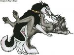  balto mayra_boyle steele tagme 