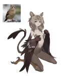  1girl animal_ears bare_shoulders bird bird_legs blonde_hair breasts brown_feathers brown_hair cat_ears claws crying_cat_(meme) english_commentary eyebrows_visible_through_hair feathered_wings feathers harpy highres monster_girl original personification reference_photo_inset rocket_neko simple_background small_breasts solo tail talons white_background winged_arms wings 