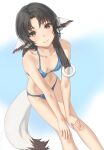  1girl animal_ears bangs bare_arms bare_shoulders bent_over bikini black_hair blue_background blue_bikini blush breasts brown_eyes cleavage collarbone dog_ears dog_girl dog_tail dutch_angle eruruw eyebrows_visible_through_hair feet_out_of_frame gradient gradient_background hands_on_own_knees highres long_hair looking_at_viewer miura-n315 parted_bangs parted_lips small_breasts smile solo standing swimsuit tail utawarerumono utawarerumono:_itsuwari_no_kamen very_long_hair 