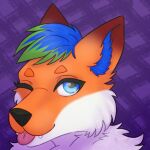  anthro black_nose blue_eyes canid canine canis deanwolfwood digital_media_(artwork) fox fur male mammal orange_body orange_fur solo tongue wolf 