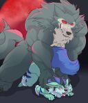  anal anal_penetration anthro beastars biceps big_dom_small_sub big_muscles blush bodily_fluids canid canine canis claws drooling duo full_moon fur grey_body grey_fur hi_res legoshi_(beastars) male male/male male_penetrated male_penetrating male_penetrating_male mammal moon muscular muscular_male nude open_mouth penetration red_eyes saliva sharp_teeth size_difference snarling teeth tognue_out were werecanid werecanine werewolf weskers wolf 