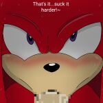  1:1 censored duo echidna fellatio front_view hair humanoid knuckles_the_echidna male male/male mammal monotreme oral penile purple_eyes red_hair sex signature sonic_the_hedgehog_(series) sucking wet 