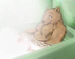  2006 anthro bathing bathroom bathtub belly brown_body brown_fur fur kemono leopon male mammal slightly_chubby solo ursid water 