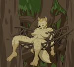  2018 anthro big_breasts blonde_hair blue_eyes breasts brown_body brown_fur brown_nipples brown_nose druid eyes_closed female fluffy fluffy_tail forest fur gnoll hair hammock hi_res huge_breasts huge_thighs hyaenid lagotrope lying magic_user mammal mane napping nipples nude on_back outside plant ria_(gnoll) sleeping smile solo thick_thighs tree tribal_spellcaster wide_hips 