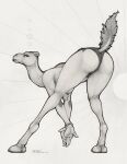  2017 anthro ass_up bracelet breasts butt camel camelid clothed clothing ecmajor facial_piercing female greyscale half-closed_eyes hi_res hooves jewelry leaning leaning_forward long_neck looking_back mammal monochrome mostly_nude narrowed_eyes nipple_piercing nipples nose_piercing nose_ring panties piercing presenting presenting_hindquarters raised_tail simple_background solo tongue tongue_out topless underwear 