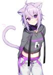  1girl :3 ahoge animal_ears cat_ears cat_tail collar highres hololive hood hoodie midriff navel nekomata_okayu pants purple_eyes purple_hair tail virtual_youtuber white_background yuura 