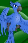  2:3 avian beak bird blue_body blue_feathers blue_sky_studios fearingfun feathers female feral genitals hi_res jewel_(rio) looking_at_viewer nude open_beak open_mouth parrot pussy rio_(series) solo spread_legs spreading 